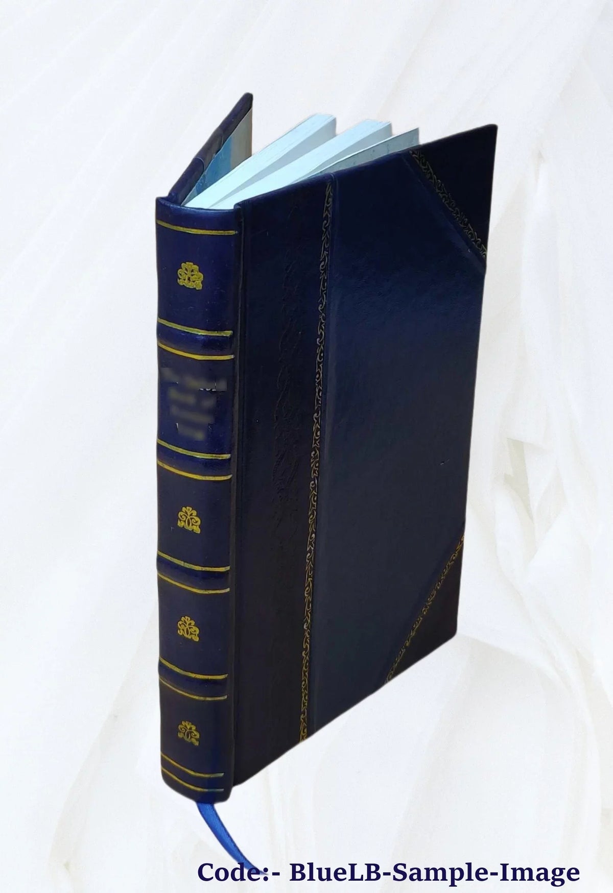 In famine land; observations and experiences in India during the great drought of 1899-1900, by Rev. J. E. Scott. 1904 [Leather Bound]