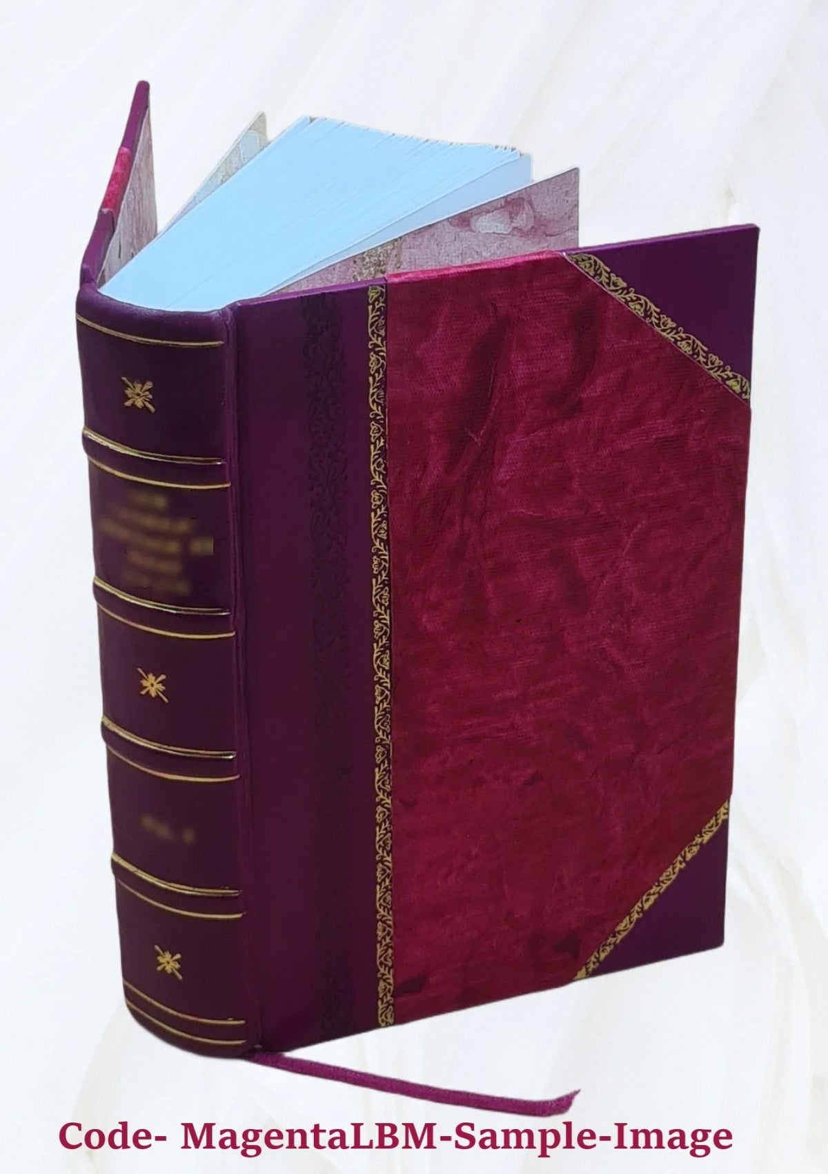Historiae Romanae libri 35 superstites. With notes by John Walker. University Press ed., to which is now added the Vatican fragment of Book 91 Volume 02 1862 [Leather Bound]