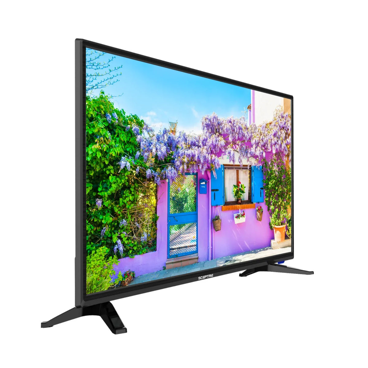 Sceptre 32" Class 720P HD LED TV with Built-in DVD Player E325BD-SR